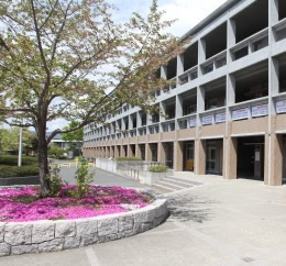 学生相談